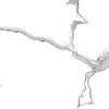 Керамогранит Statuario Crown белый 60x60 сатинированный 124696 - фото 61887