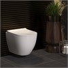 Комплект BERGES для монтажа подвесного унитаза: инсталляция NOVUM525, кнопка L5 Soft Touch черная, унитаз OKUS, сиденье дюропласт Toma Slim SO 043280 - фото 70143