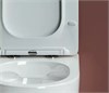 Сет 4 в 1: Подвесной унитаз Forma Rimless арт. CN3009 + Шумоизоляционная панель для инсталляции арт. CN1000 + Система инсталляции для унитазов CERAMICANOVA Envision с кнопкой смыва Round цвет черный матовый и креплениями, арт. CN1001B CN3009_1001B_1000 - фото 75943