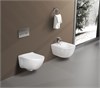 SET AQUATEK ДИВА (рама AQUATEK Standard INS-0000012(без клавиши и крепежа)+унитаз ДИВА AQ2012-00 с тонким сиденьем soft-close SET AQUATEK ДИВА - фото 77870
