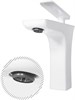 Cмеситель для раковины Grocenberg GB1001N Белый хром GB1001N-WC - фото 82237