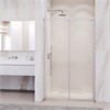Душевая дверь RGW PA-017 1200 350801712-11 - фото 83620