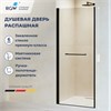 Душевая дверь RGW PA-103B 700 020810307-14 - фото 83667