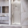 Душевая дверь RGW LE-003 600 351200306-11 - фото 83722
