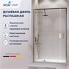 Душевая дверь RGW LE-103 1000 711210310-11 - фото 83736