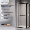 Душевой уголок с открытием двери вовнутрь RGW LE-45-B 1200x800, Душевой уголок с открытием двери вовнутрь RGW LE-45B 77124528-14 - фото 83874