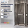 Душевой уголок с открытием двери вовнутрь RGW LE-45 1000x800, Душевой уголок с открытием двери вовнутрь RGW LE-45 77124508-31 - фото 83880